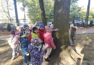Dzieci przyglądają się korze drzewa.